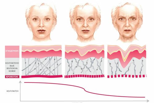 Естественная выработка коллагена