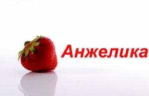 имя Анжелика