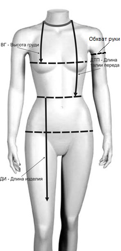 Как правильно снять мерки для женской одежды, фото № 2