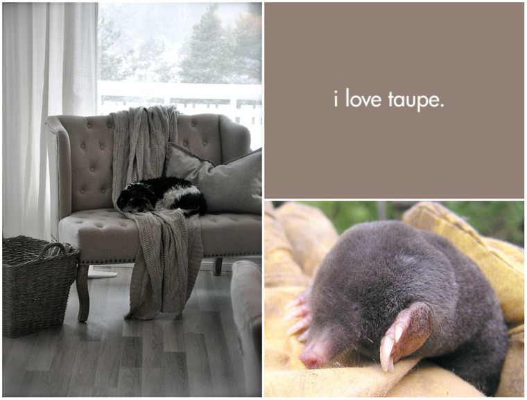 Необычный цвет «taupe» в моде и в интерьере, фото № 1