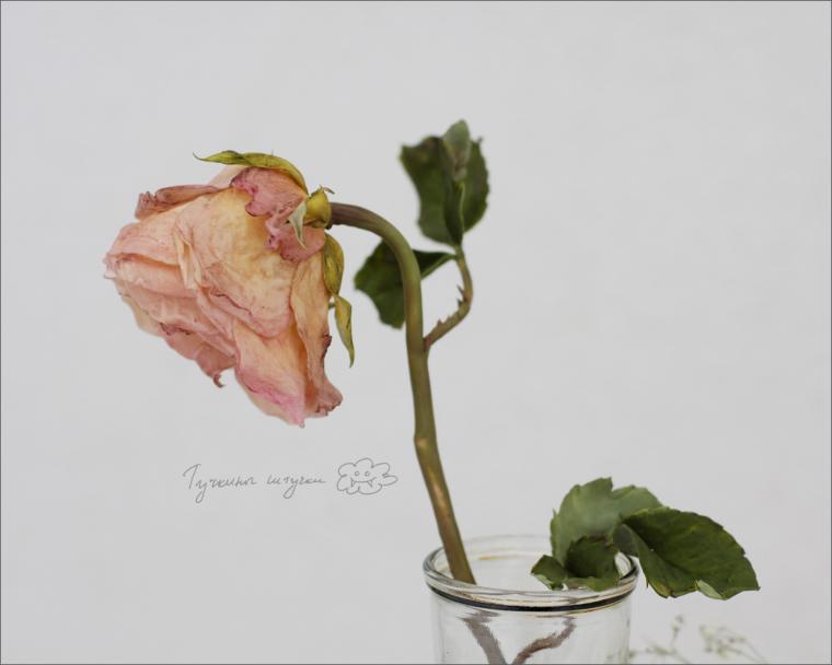 Засохшая роза ручной работы, фото № 2