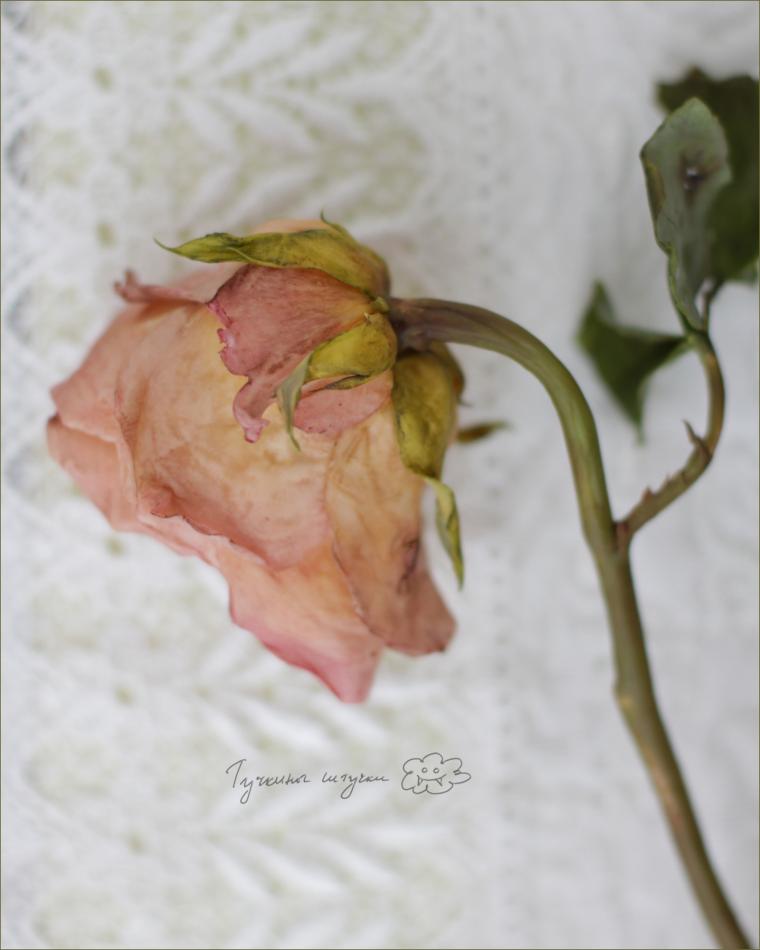 Засохшая роза ручной работы, фото № 16