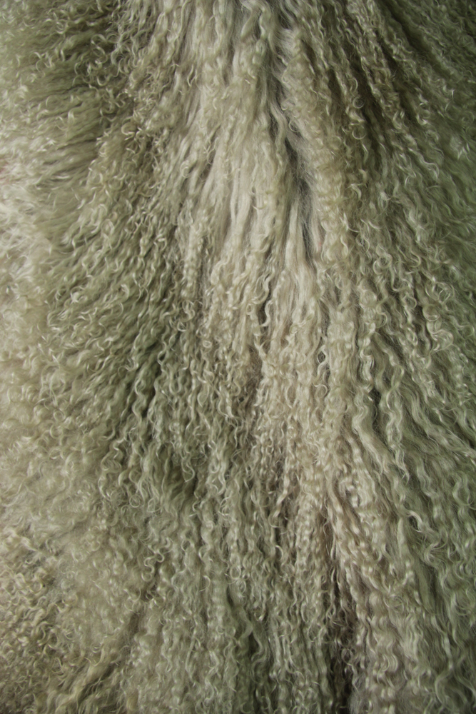 Модные тенденции: мех ламы, фото № 13