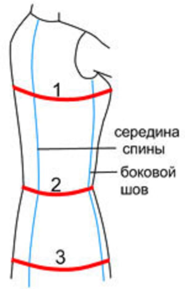 Как правильно снять мерки, фото № 1