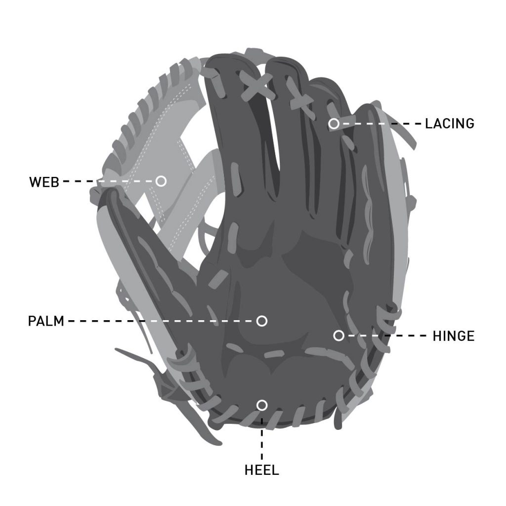 Baseball Glove