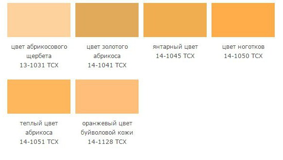 оттенки желтого оранжевого цвета