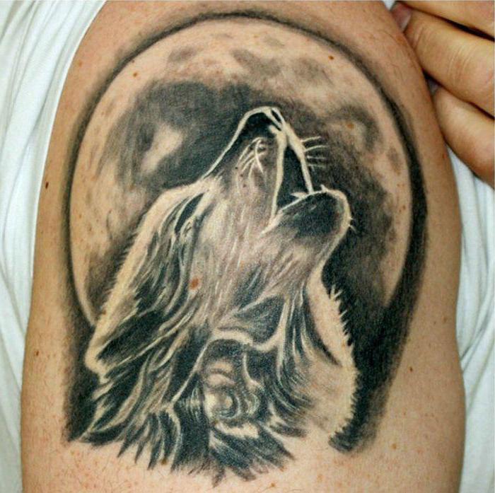 татуировка воющий волк