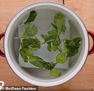 Place the clothing in a saucepan and cover it with boiling water before adding spinach