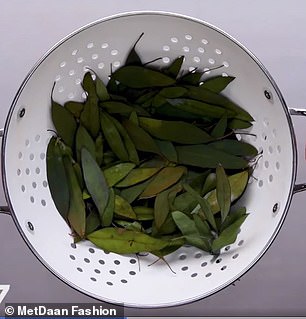 Eucalyptus leaves will release taninis when covered in boiling water