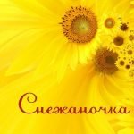 Имя Снежаночка