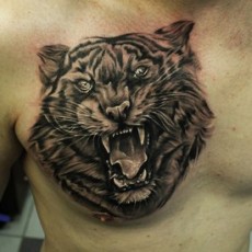 Татуировка на груди парня - тигр