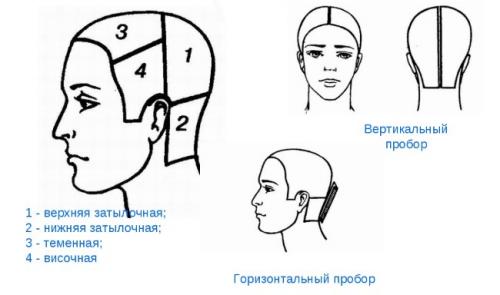 Как стричь машинкой. Как выполнить мужскую стрижку машинкой