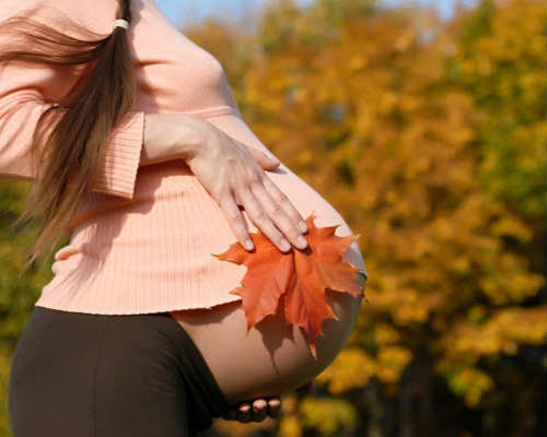 Краски осени: фотосессия для беременных 10
