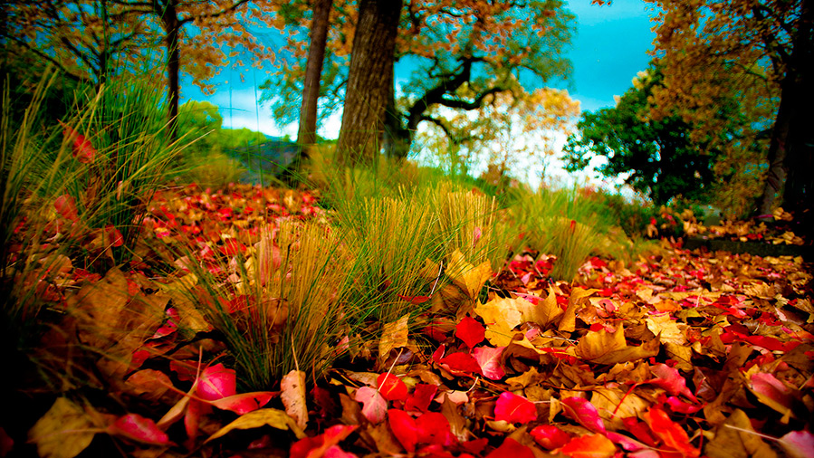 Осенние цвета и оттенки