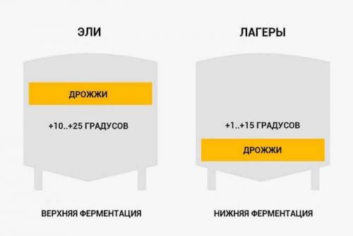 Пивные дрожжи для укрепления волос. Д рожжи для волос - целебный состав и положительное влияние 03