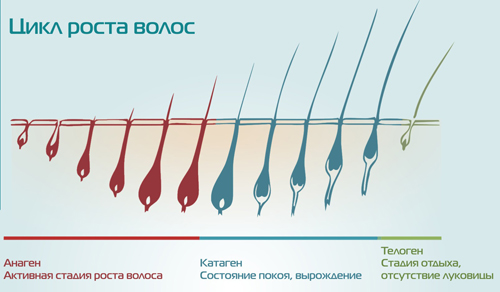 Как избавиться от нежелательных волос