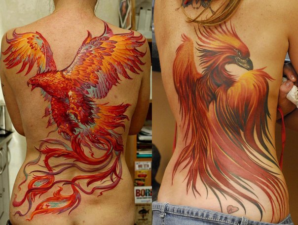 Татуировка феникс на спине девушки