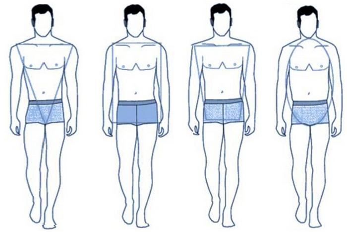 Основные четыре типа мужских фигур