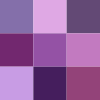 Color icon purple v2.svg