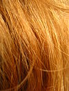 Redhead close up.jpg