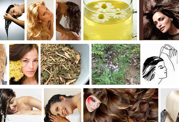 Натуральный пигмент волос. Ополаскиваем волосы травами. Окрашивание волос травами. Природные красители для волос. Натуральные красители для волос.